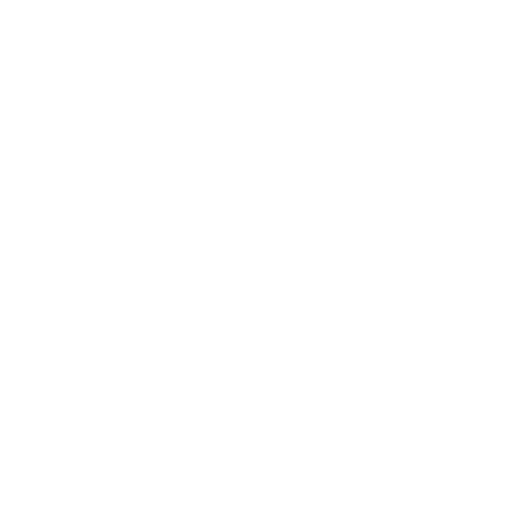 Vitrion Corporation Private Limited