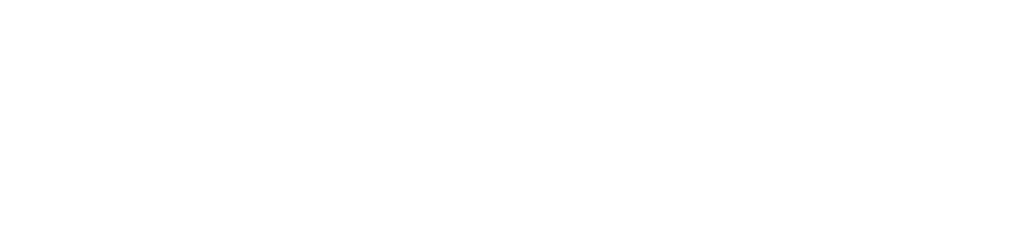 Vitrion Corporation Private Limited